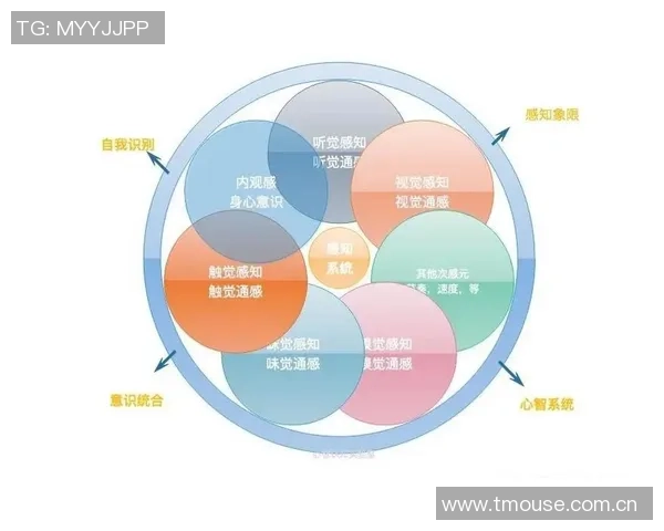 武汉足球队在挑战赛中的意识表现分析与点评